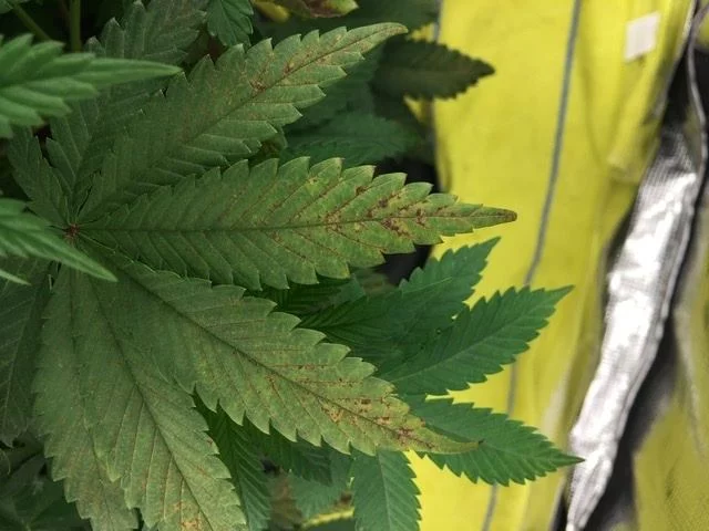 Please help problems at 2 months 3