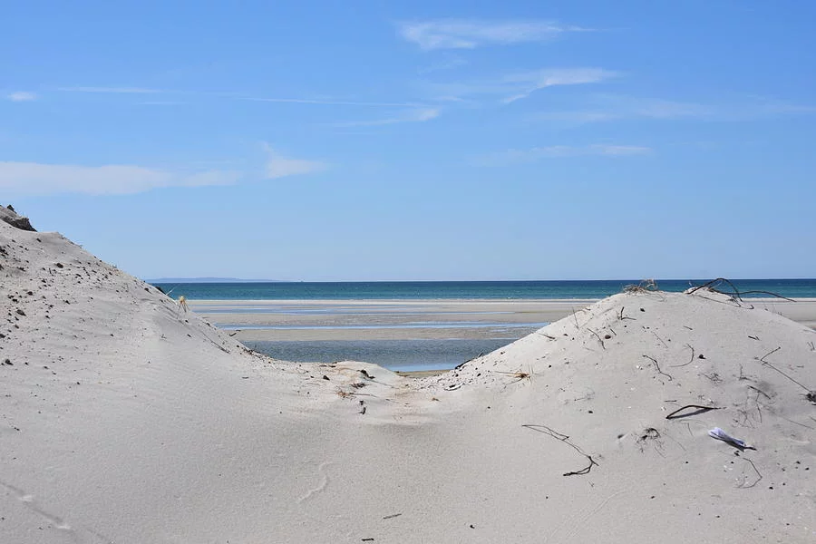 Sand dunes of cape cod john g erlandson