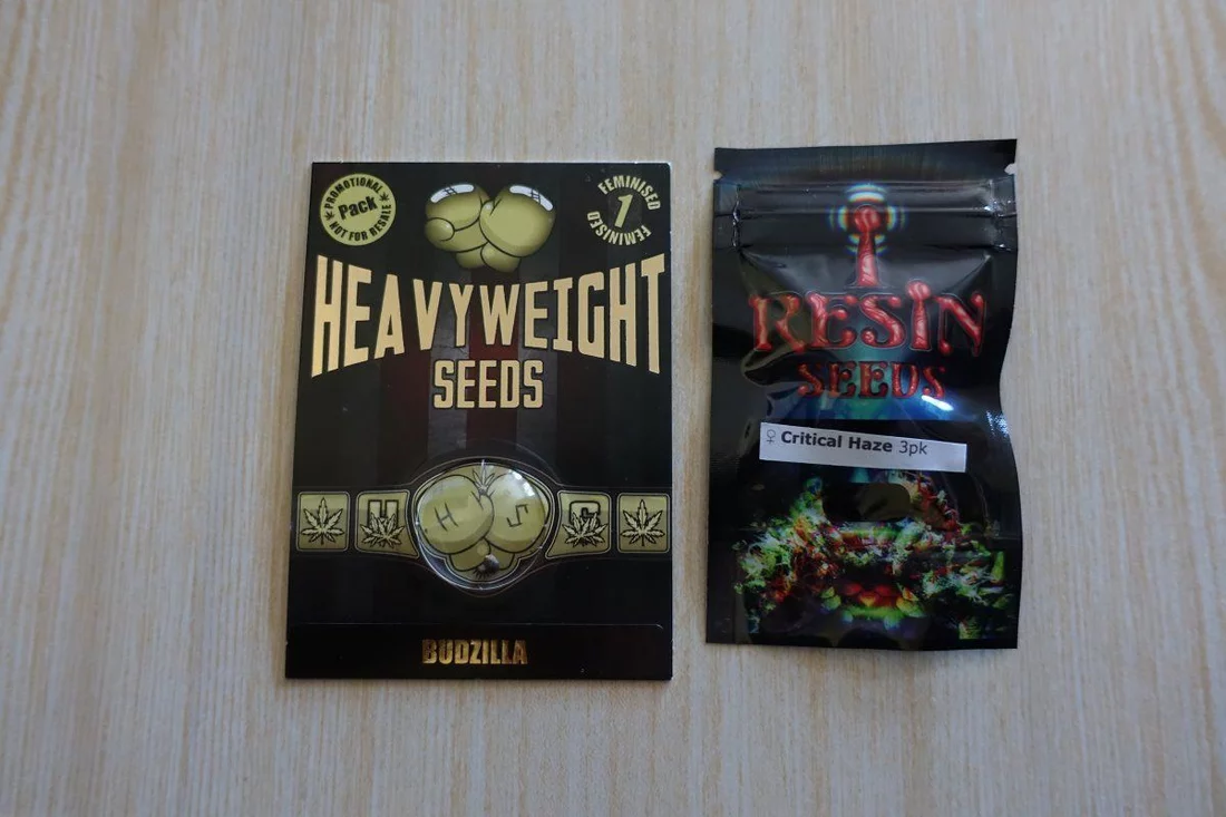 Seeds S1 1