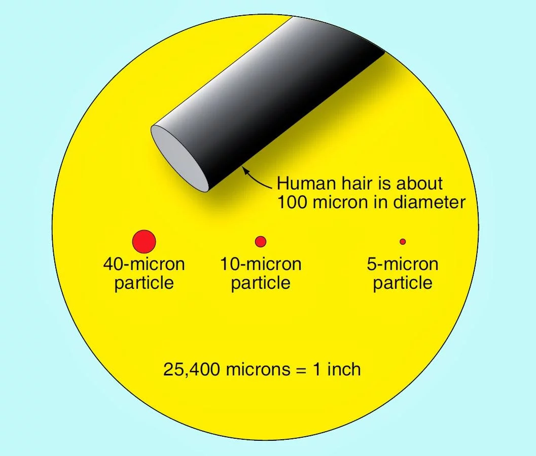 Size comparison in microns