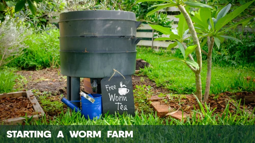 Starting a worm farm for growing cannabis