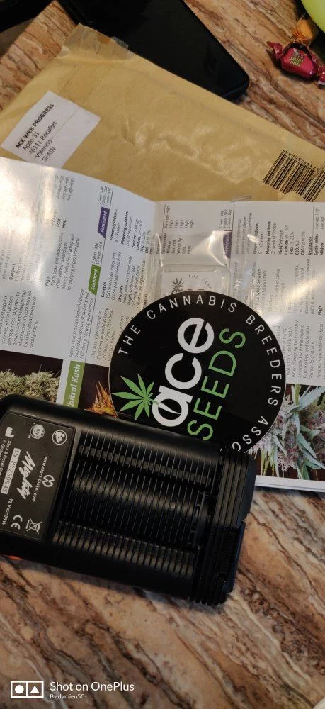 The limited editions ace seeds