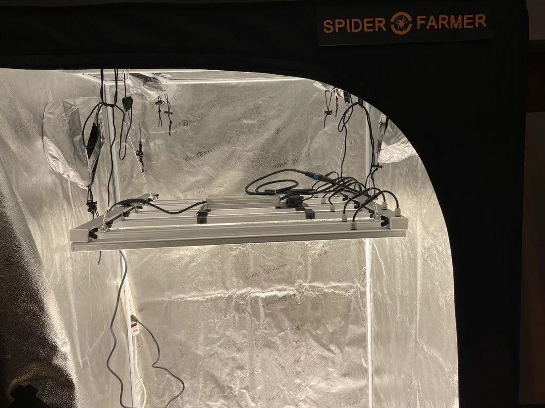 Time for veggies spiderfarmer se5000 in an sf