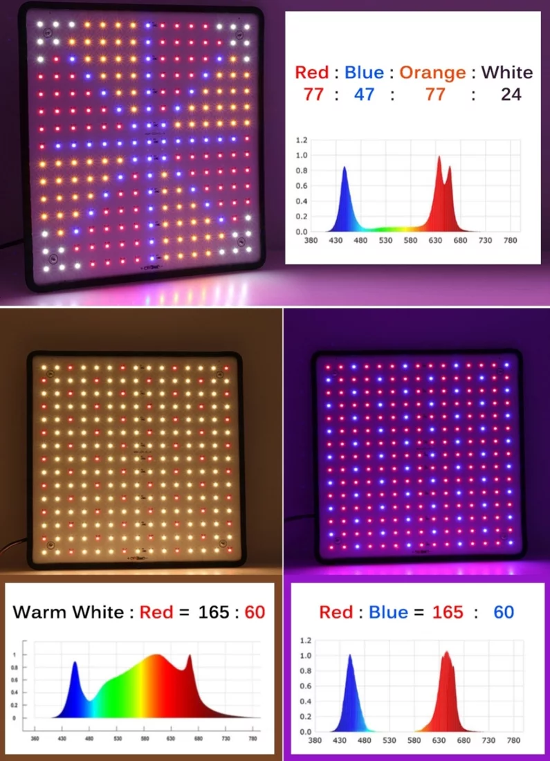 Which light spectrum is the best