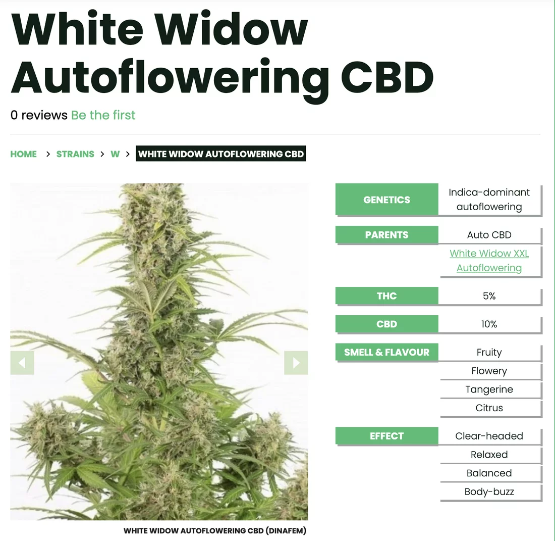 White widow high cbd autoflower project replies appreciated 6