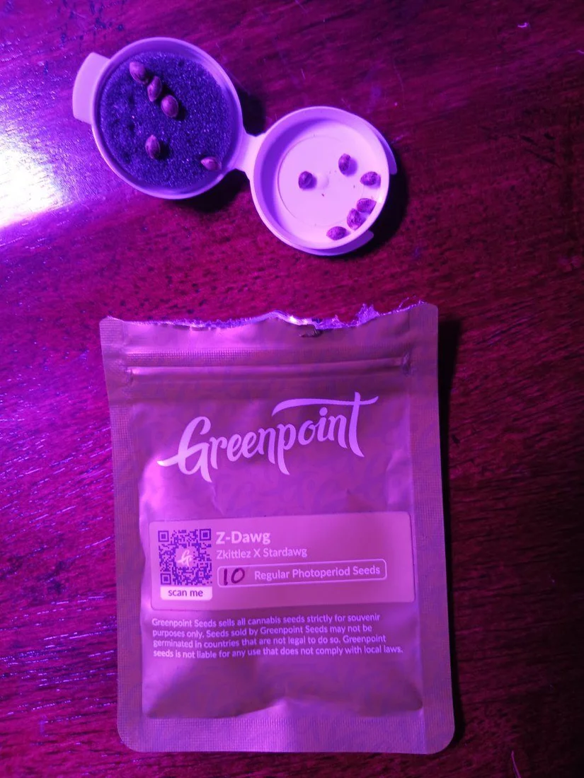 Zkittles x stardawg from greenpoint seeds review and grow journal 2