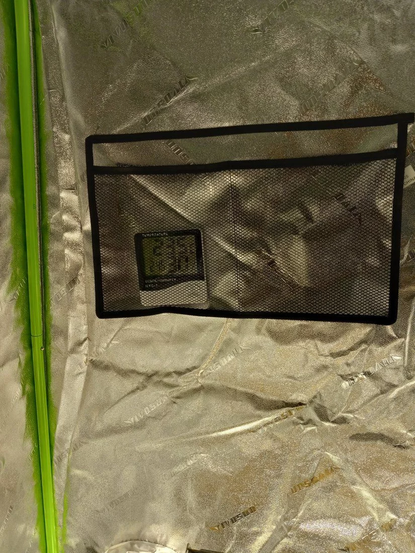 4x4 grow tent weekly diary 6