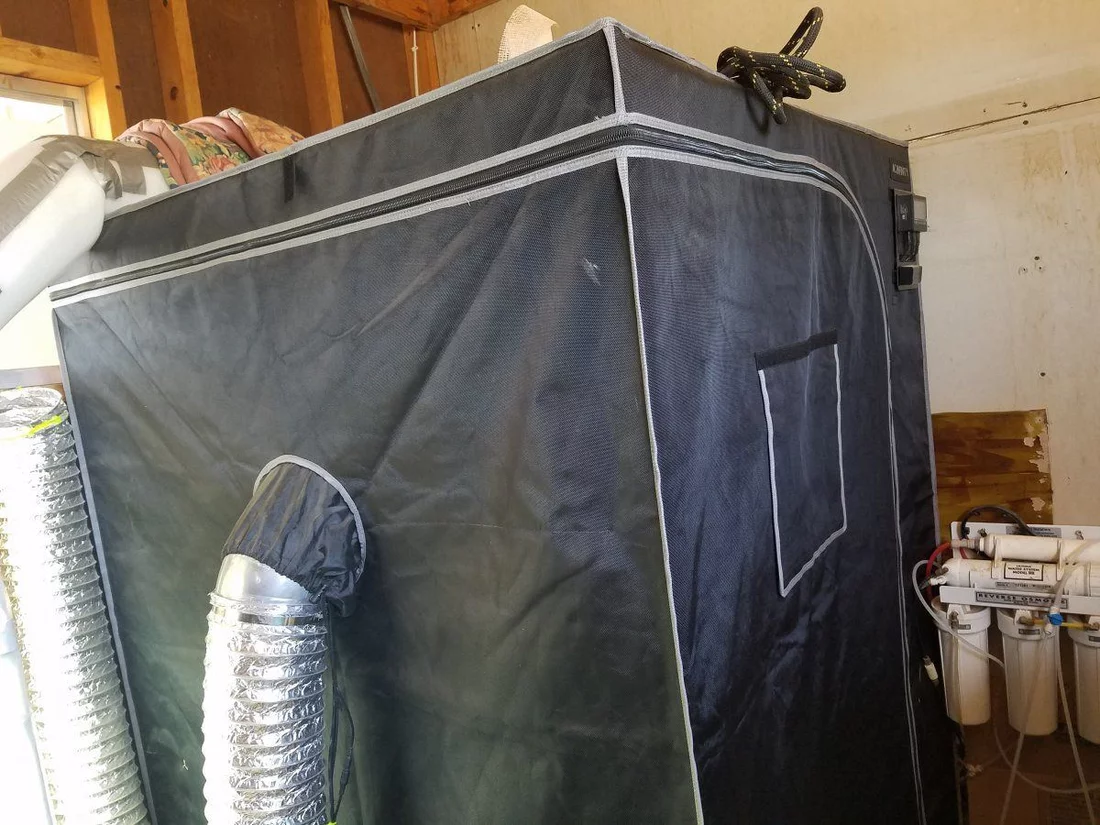 Arizona   shed  tent  outdoor growing journal 5
