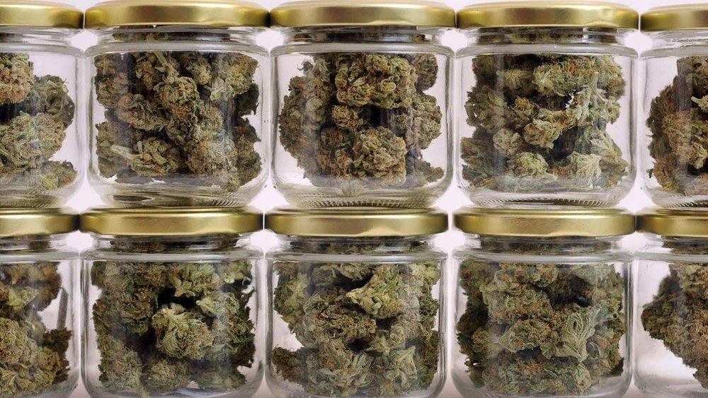 Curing cannabis curing weed in mason jars