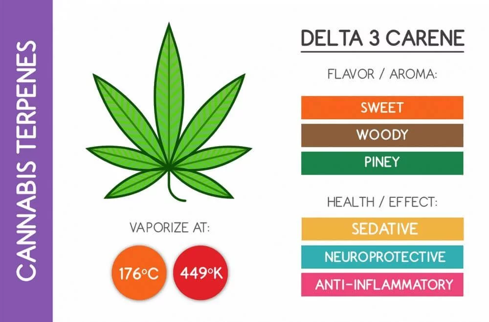 Delta 3 carene cannabis terpene chart