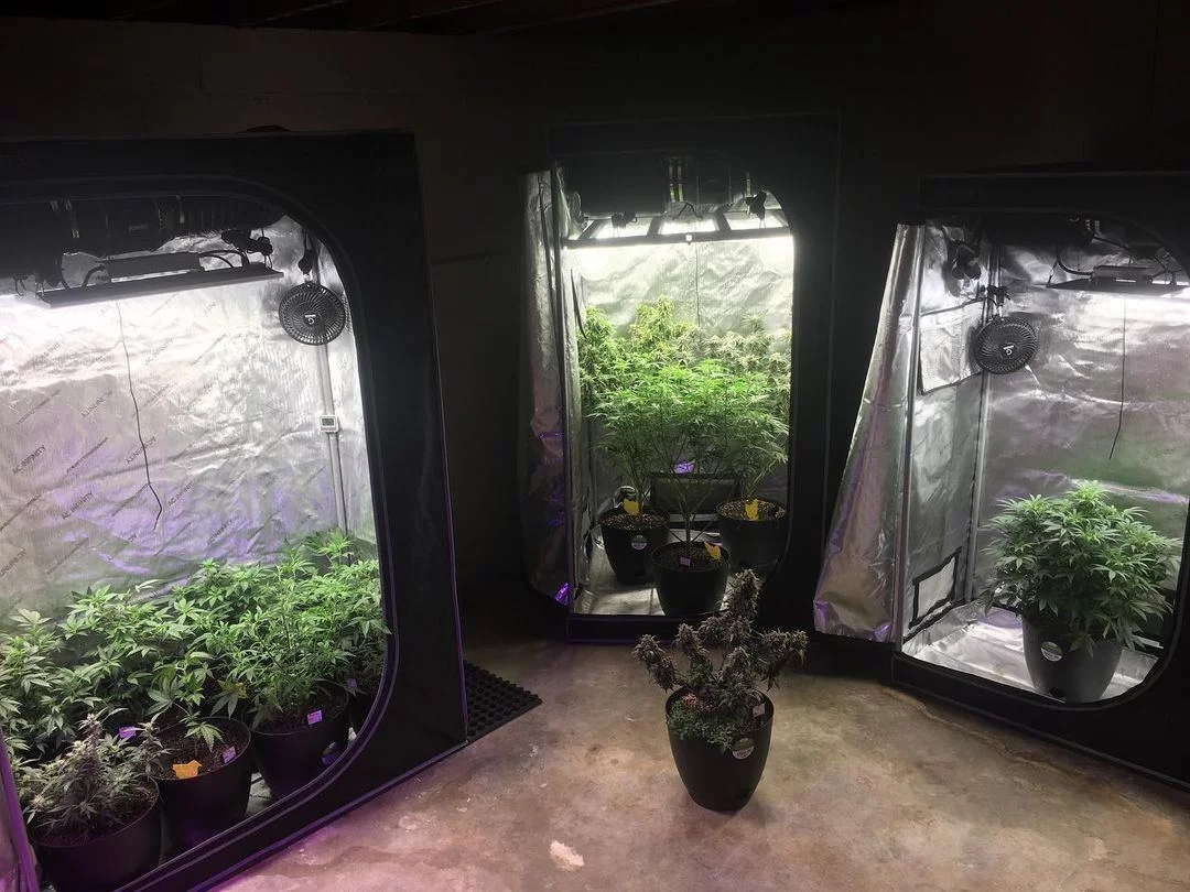 How do your grow tent look like