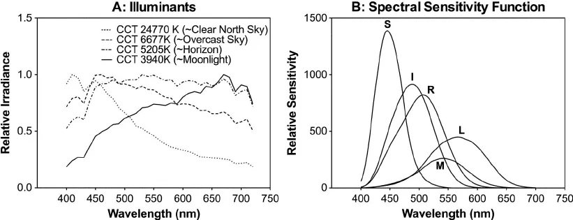 Illuminants and photopigment spectral sensitivity functions a Spectral distributions