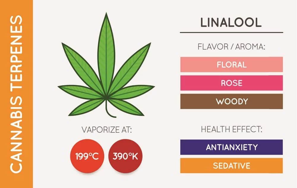 Linalool cannabis terpene chart