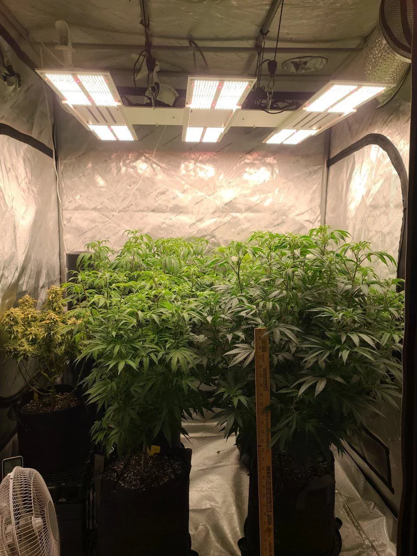 Looking for advice before flip