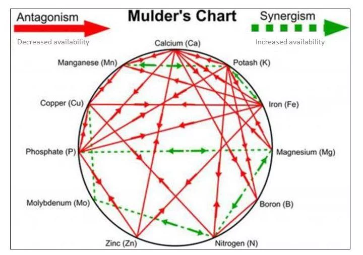Mulders chart e1465939603653