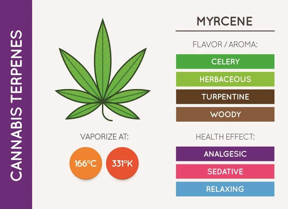 Myrcene cannabis terpene chart properties