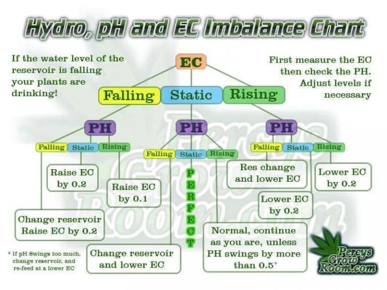 PH and EC fluctuations in Hydroponics 768x576