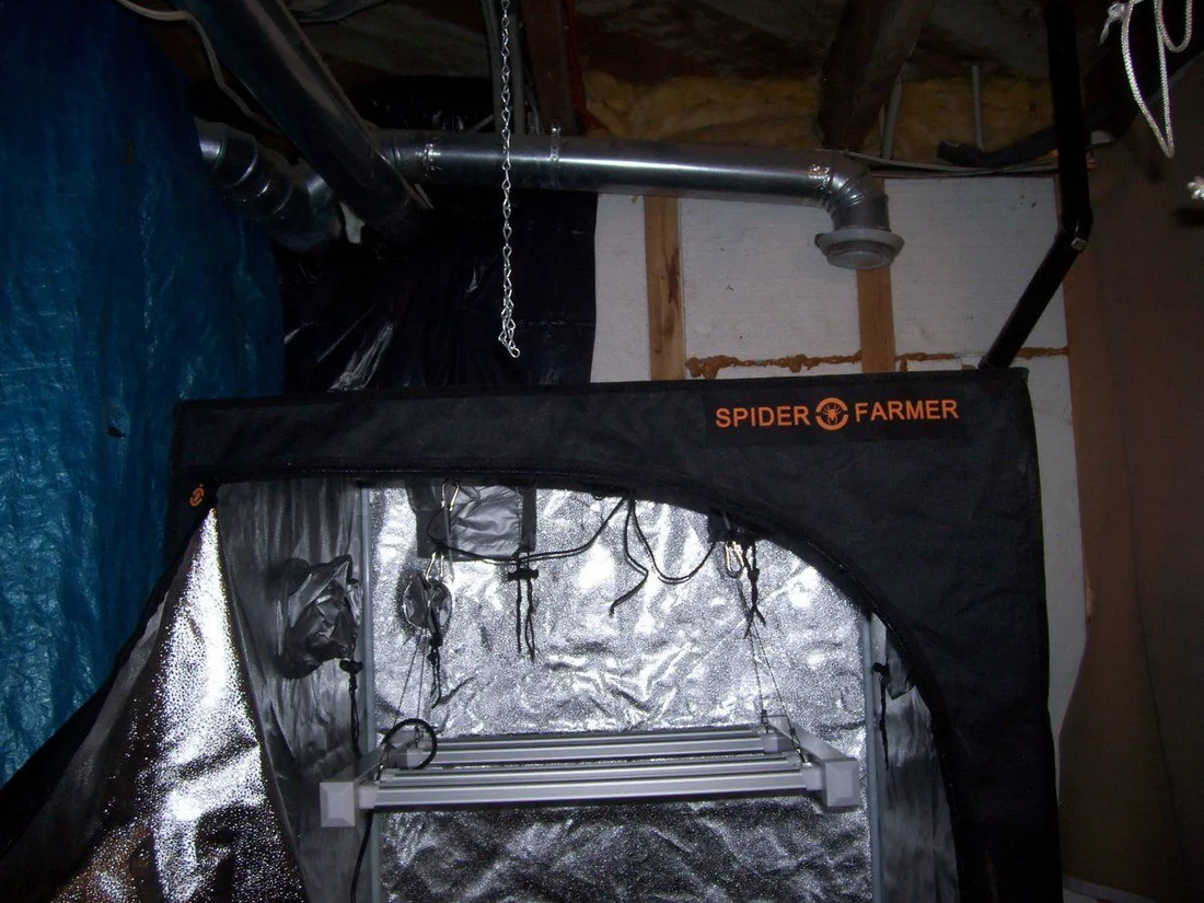 Pipecarvers new spiderfarmers 3 x 3 tent under an se3000 3
