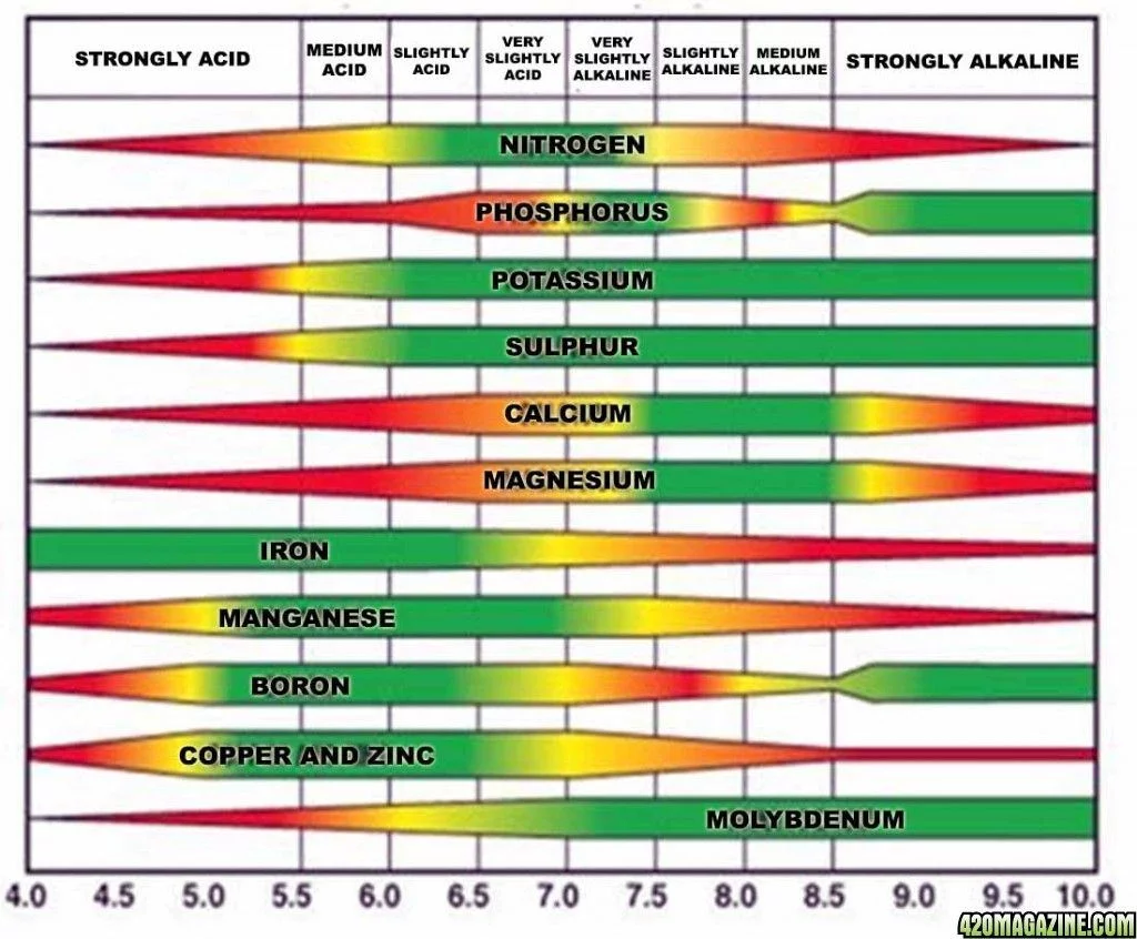 Plant nutrient absorption at different pH