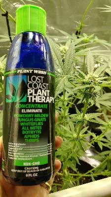 PlantTherapy