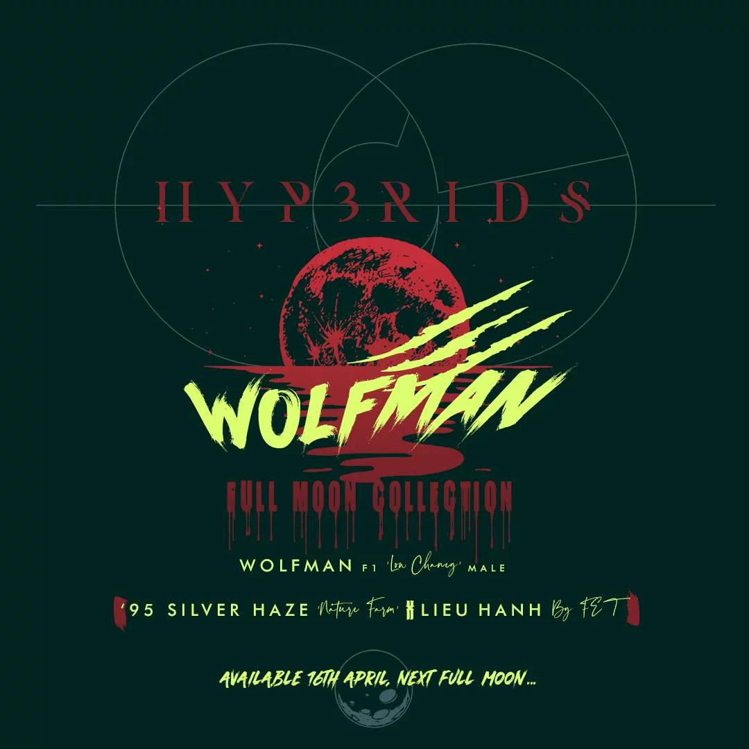 PM01 HYB WOLFMAN F2 COLLECTION 01 copy
