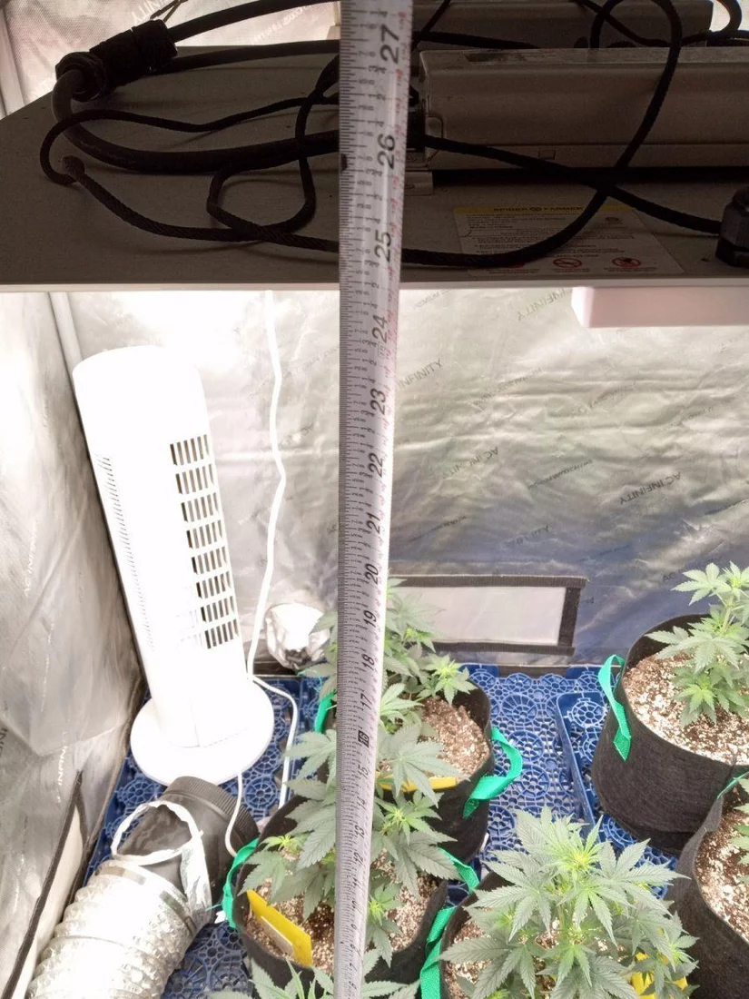 Spiderfarmer sf4000 and grizzly crinkle autos 2