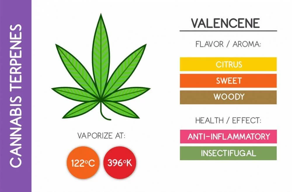 Valencene cannabis terpene chart properties