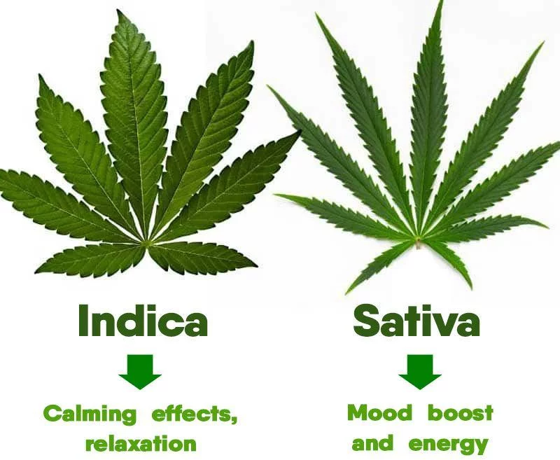 Which weed strains affect mood or energy